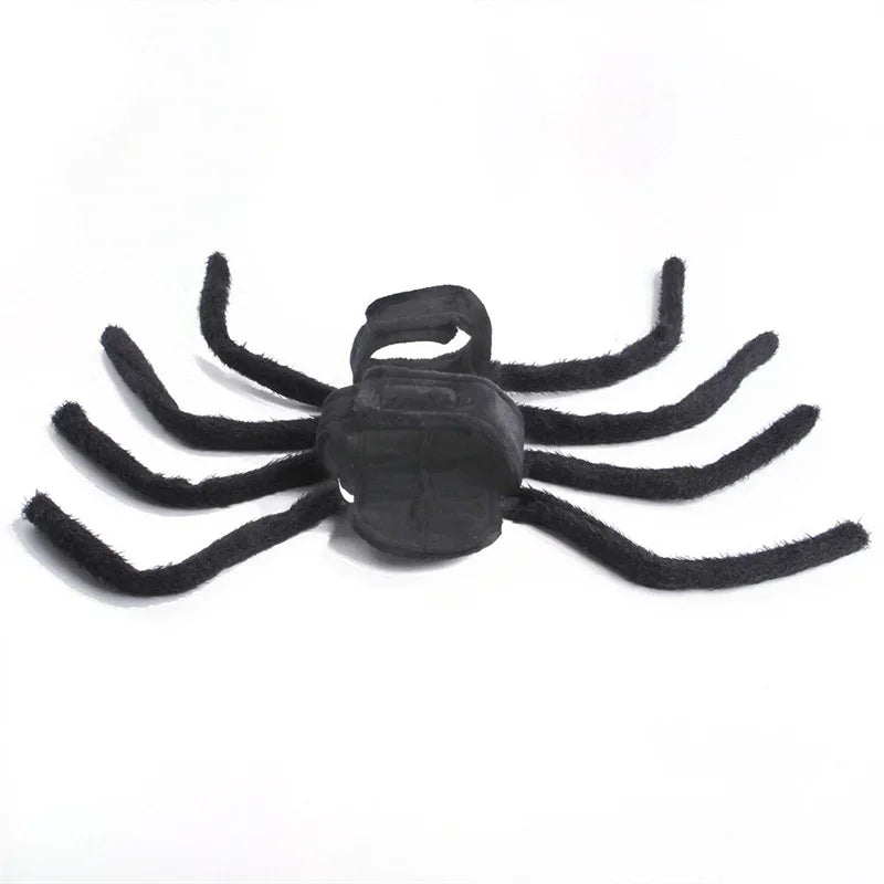 Spider Costume for Cats and Small to Medium Dogs