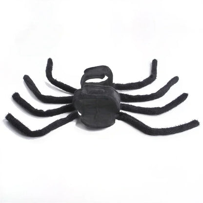 Spider Costume for Cats and Small to Medium Dogs