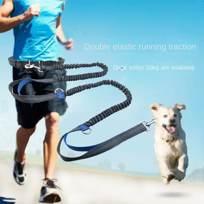 Heavy-Duty Reflective Bungee Dog Running Leash – Shock Absorbing Traction Lead for Active Dogs
