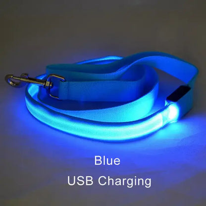 LED Light-Up Dog Leash — USB-C Rechargeable Traction Rope