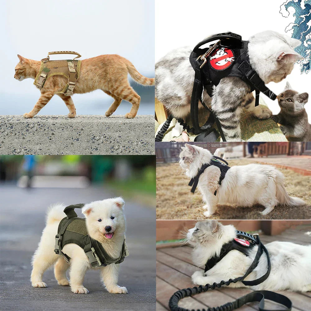 Rover Rituals | Tactical Dog Harness and Leash for Small Dogs | Durable & Secure Fit