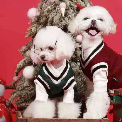 Winter Warm Dog Sweater College Style V-neck Knitwear Coat | Dog Clothes