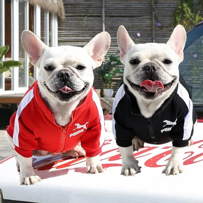 Sports Zip Dog Sweater Dog Clothes