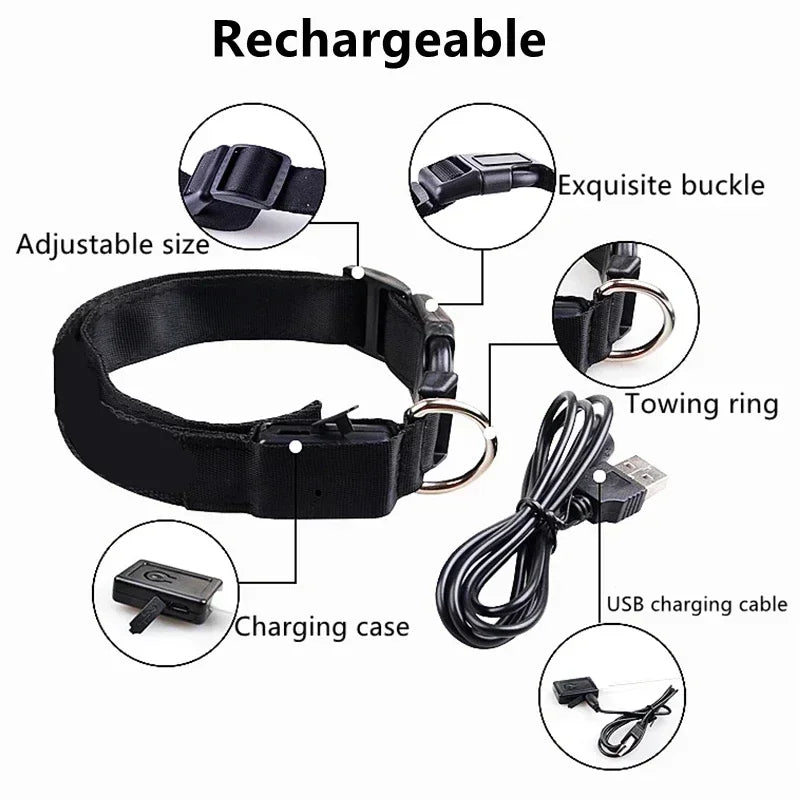 Rover Rituals | SafeShine Collar | Rechargeable glowing LED dog collar for safety night walks