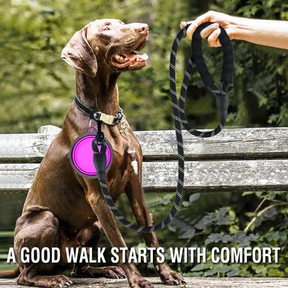 Reflective dog lead