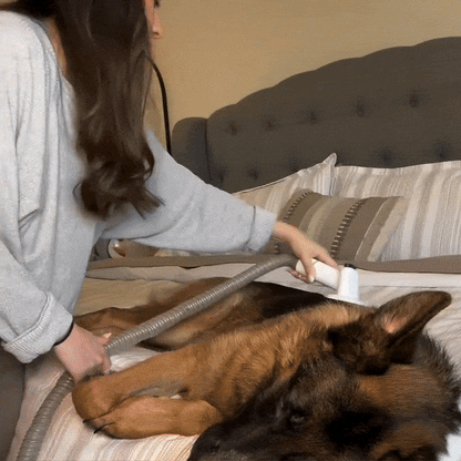 WhisperGroom™ | Kit de aspiradora para el cuidado de perros