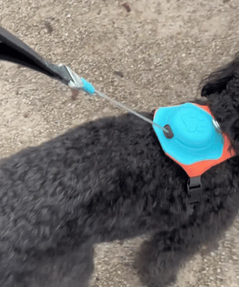 WalkEase Pro™ | All in one Dog Harness and Leash Set - Rover Rituals