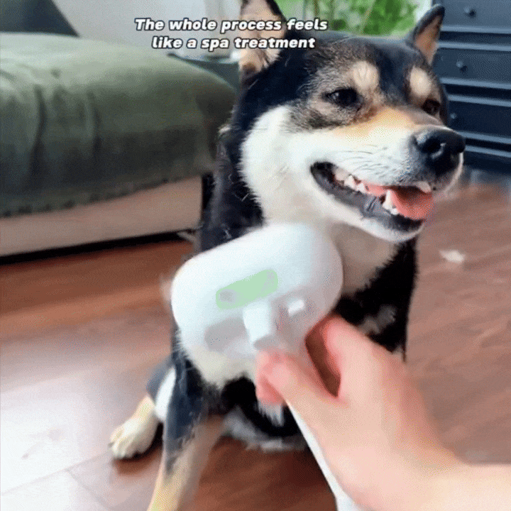Rover Rituals | Steam Powered Dog Grooming Brush – Deshedding Dog Brush Tool