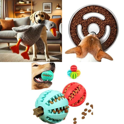 Enrichment Bundle
