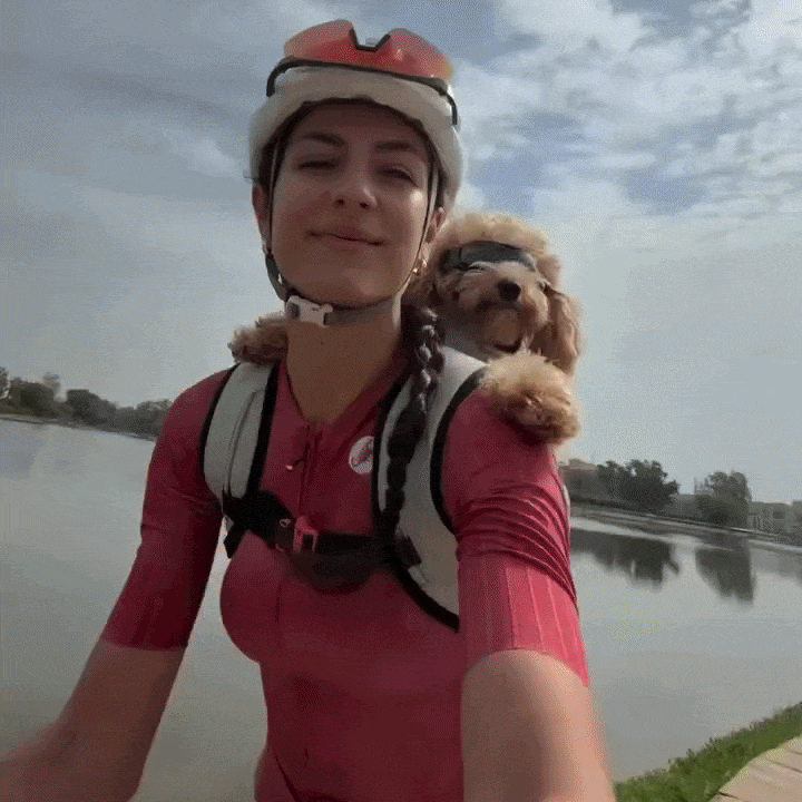 SecureRide Dog Carrier Backpack
