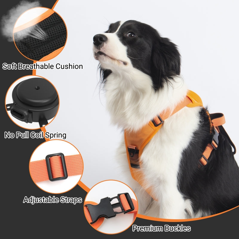 Rover Rituals | WalkEase Pro | All in one dog harness & leash