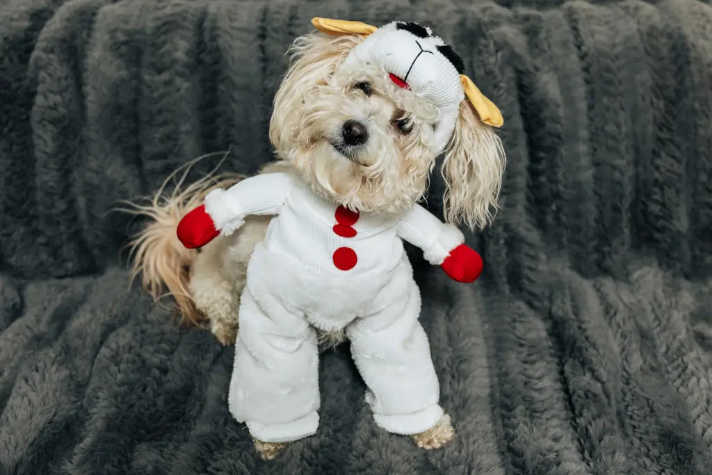Rover Rituals | Plushy Lamb Buddy | Soft & Squeaky Plush Lamb Chop Dog Toy