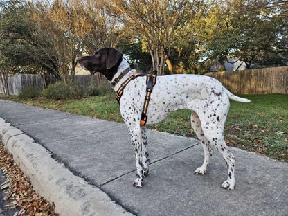 No Pull reflective dog harness