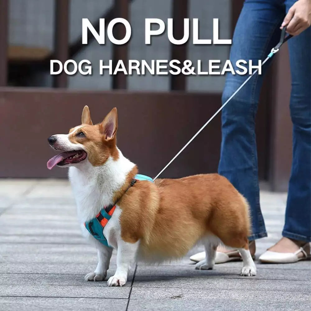 WalkEase Pro™ | All in one Dog Harness and Leash Set