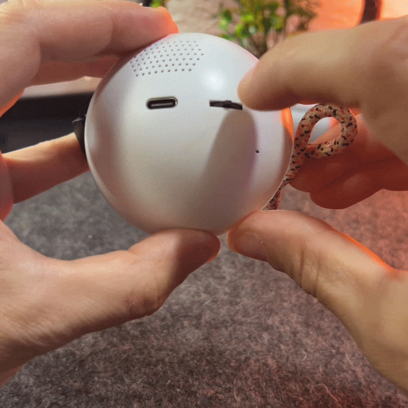 LumiOrb 3D Wifi Video Crystal Ball Personalized Dog Gift Keepsake