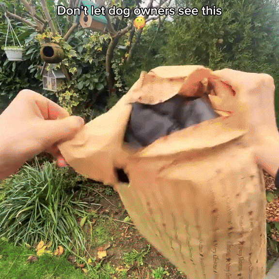 The Dog Face Puffer™ | Stylish dog winter jacket | Dog Clothes - Rover Rituals