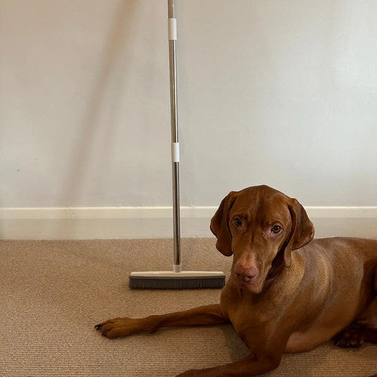 Rover Rituals | FurGone Broom | Ultimate Pet Hair Remover Brush & Broom