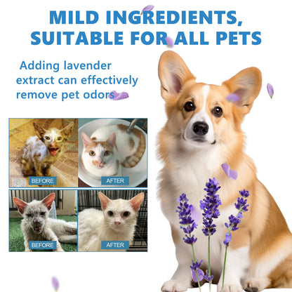 Líquido limpiador natural y seguro para mascotas | Aceite esencial desionizado y esterilizado (20 ml)
