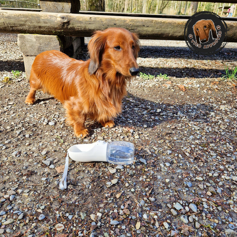 Rover Rituals | AquaPaws Bottle™ | Travel Portable Dog Water Bottle