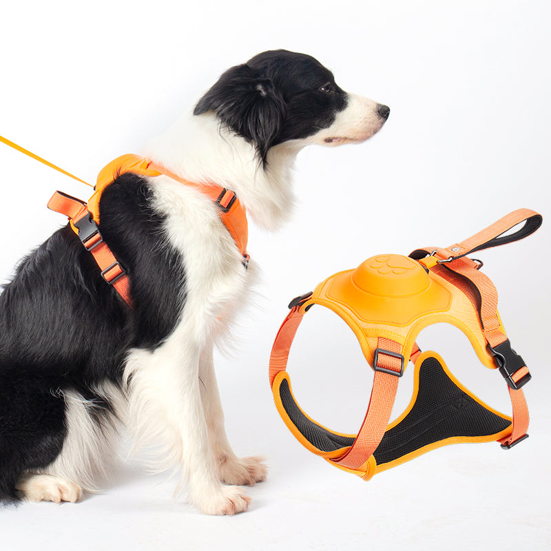 WalkEase Pro™ | No Pull All in 1 Dog Harness & Leash